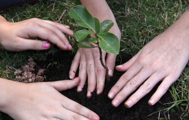 Celebra-se hoje o dia mundial do Planeta Terra