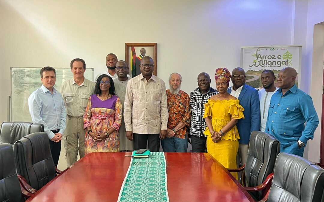 INTEGRANTES DA FUNDAÇÃO BIOGUINÉ REALIZAM VISITA DE CORTESIA AO MINISTRO DO AMBIENTE