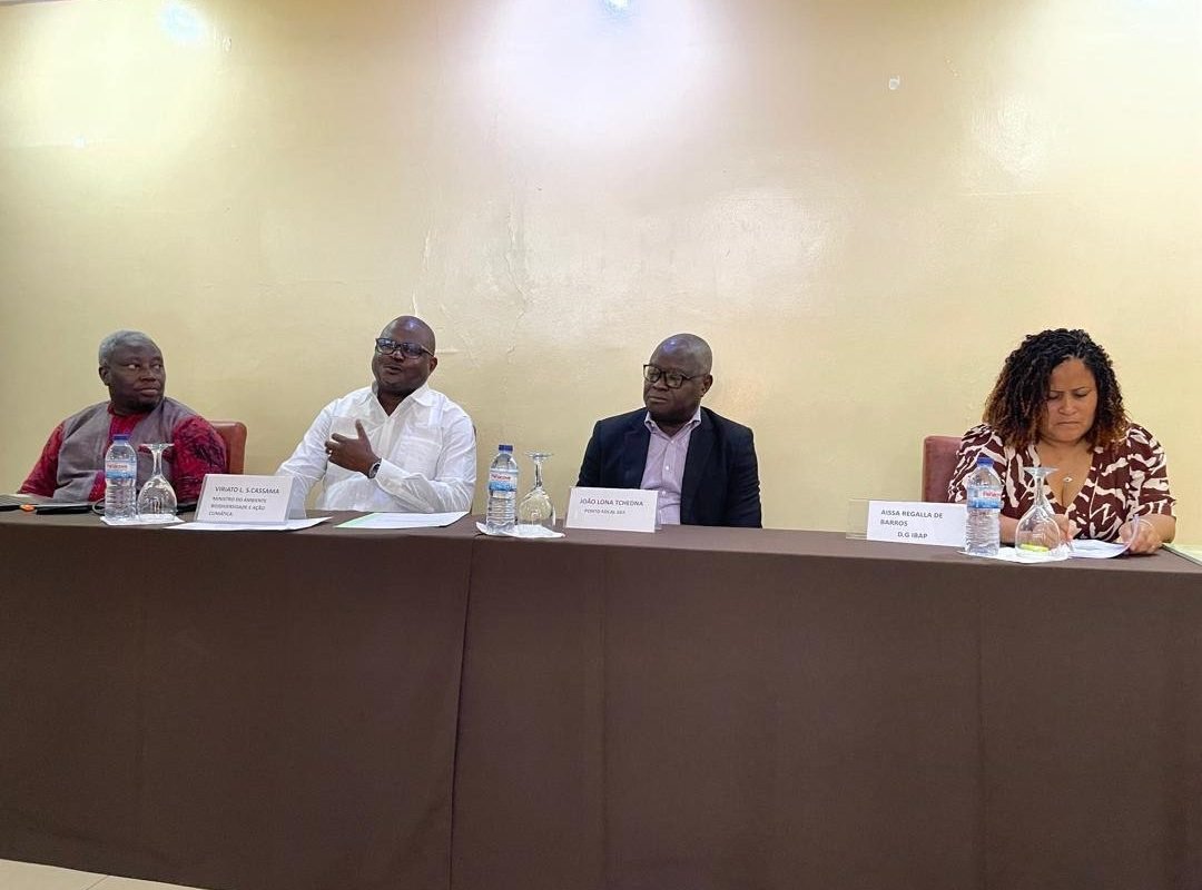 MINISTRO DO AMBIENTE, PRESIDE O ATELIER DE VALIDAÇÃO DO DOCUMENTO DO PROJETO “ PROMOVER E REFORÇAR A CONSERVAÇÃO EFETIVA DAS FLORESTAS PRIMÁRIAS EM CANTANHEZ.