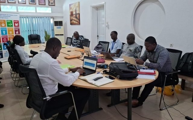 FAO REFORÇA CAPACIDADES PARA PROTEGER AS FLORESTAS NA GUINÉ-BISSAU