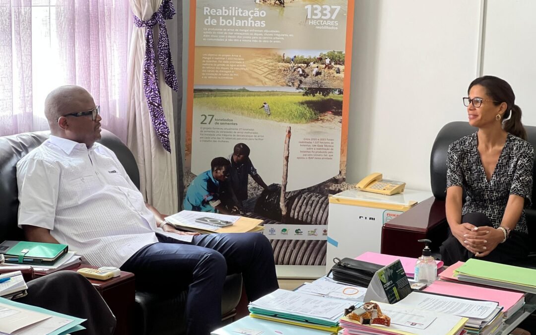 MINISTRO DO AMBIENTE RECEBE PRESIDENTE DA ACADEMIA GUINEENSE DAS CIÊNCIAS