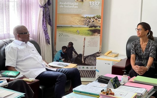 MINISTRO DO AMBIENTE RECEBE PRESIDENTE DA ACADEMIA GUINEENSE DAS CIÊNCIAS
