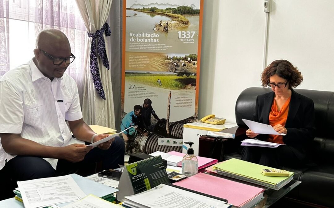 MINISTRO DO AMBIENTE REÚNE-SE COM  A REPRESENTANTE DO PNUD PARA OS ÚLTIMOS ACERTOS PARA A REALIZAÇÃO CONFERÊNCIA INTERNACIONAL DO SIDS