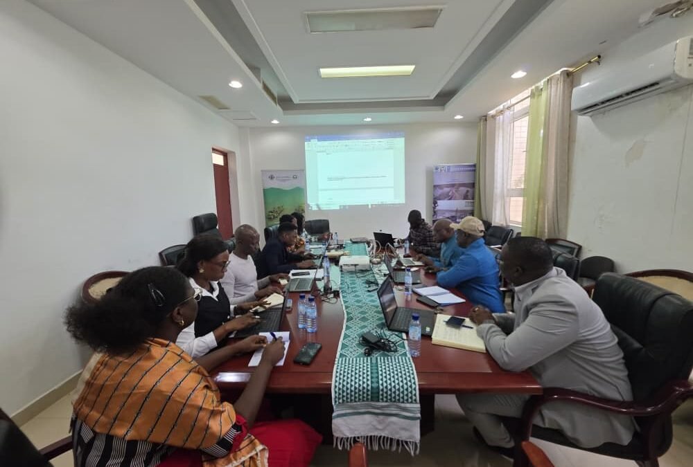 TÉCNICOS DA UCGP RECEBEM FORMAÇÃO SOBRE O SISTEMA DE GESTÃO DE PROJETOS