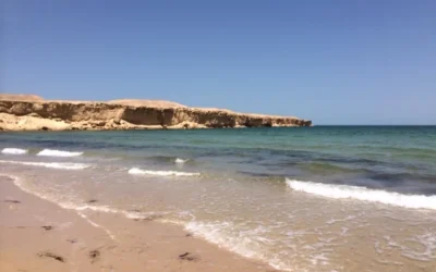 INSCRIÇÕES ABERTAS PARA A 12ª EDIÇÃO DO FÓRUM REGIONAL MARINHO E COSTEIRO – NOUAKCHOTT 2026