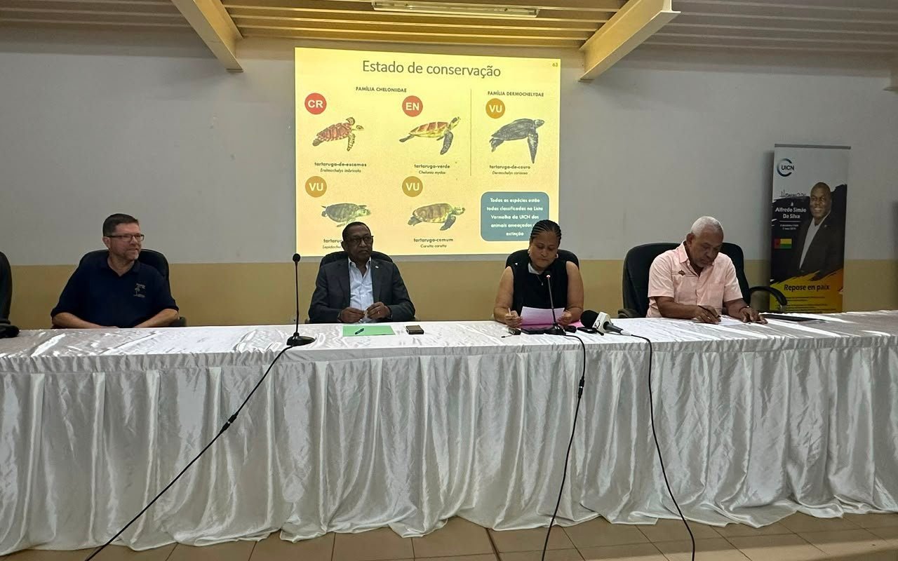 INSTITUTO DA BIODIVERSIDADE LANÇA LIVRO SOBRE TARTARUGAS MARINHAS DA ÁFRICA OCIDENTAL