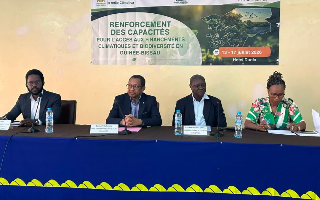 CARLOS PINTO PEREIRA DEFENDE REFORÇO DE INSTRUMENTOS PARA ACESSO AOS FINANCIAMENTOS CLIMÁTICOS