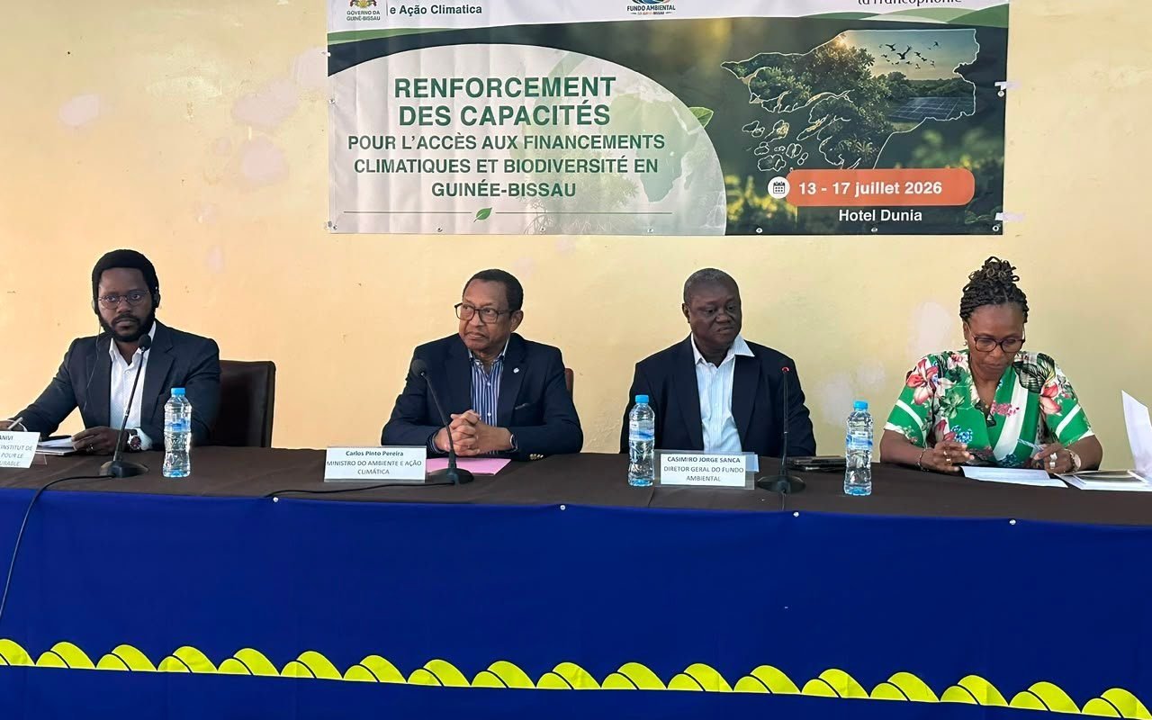 CARLOS PINTO PEREIRA DEFENDE REFORÇO DE INSTRUMENTOS PARA ACESSO AOS FINANCIAMENTOS CLIMÁTICOS