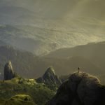 Dia de campo — restauração de mangais